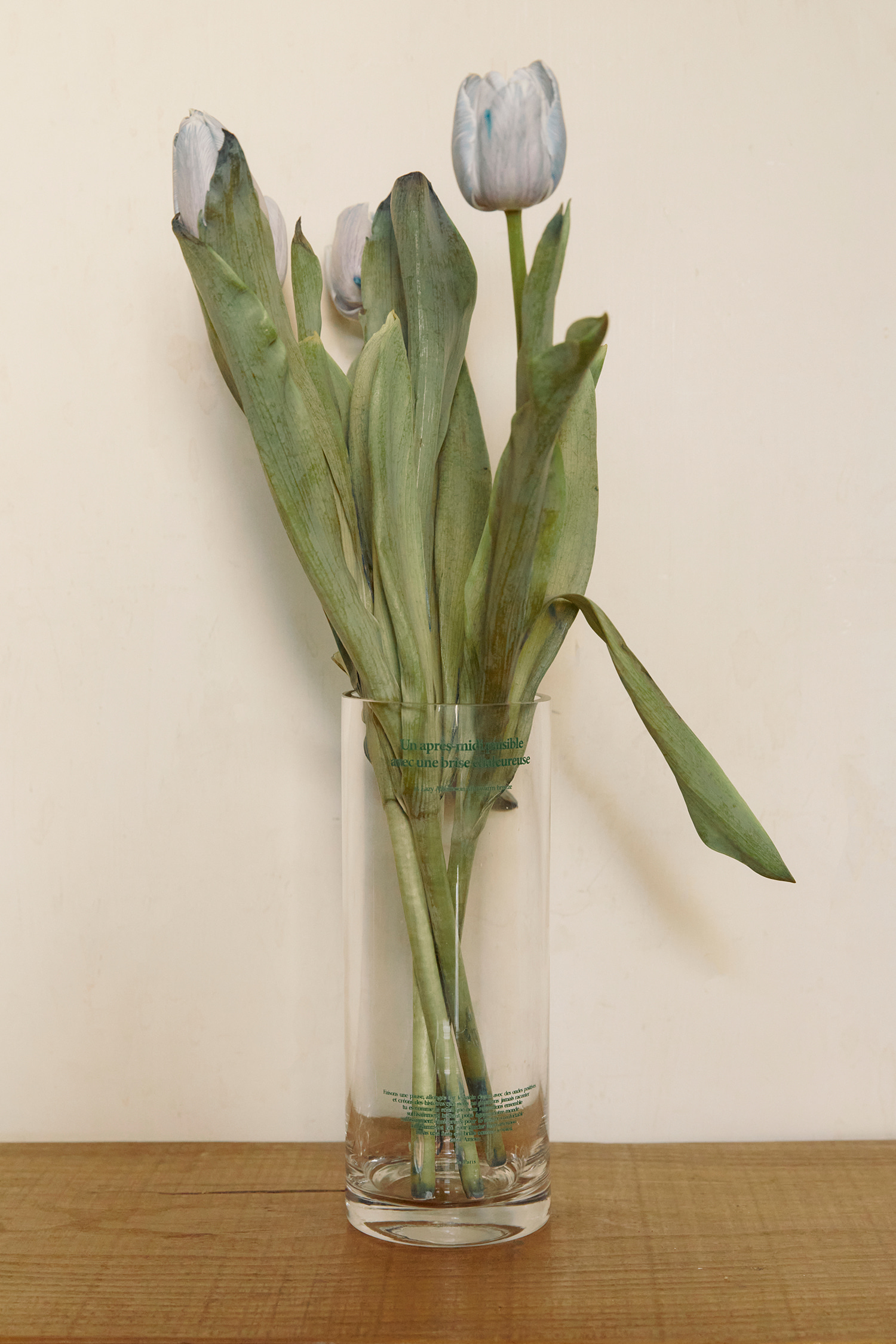 Be Sunnier Glass Vase (Green)